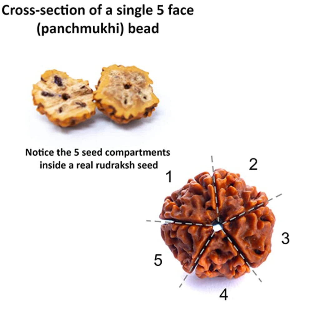 Bracelet Set Necklace Bracelet Set Stylish Elegant Jewelry